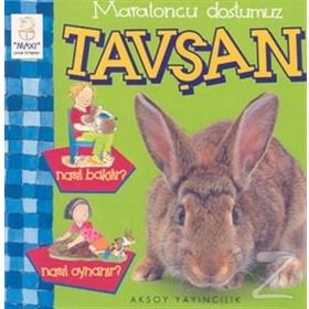 Maratoncu Dostumuz Tavşan Nasıl Bakılır? Nasıl Oynanır? - Christine Morley Carole Orbell