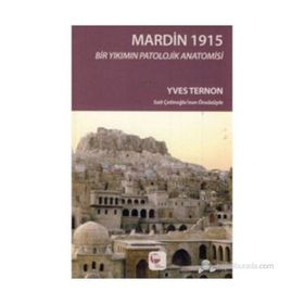 MARDIN 1915 BIR YIKIMIN PATOLOJIK ANATOMISI - YVES TERNON