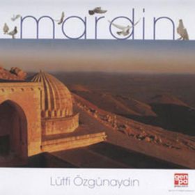 MARDIN - LÜTFİ ÖZGÜNAYDIN
