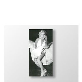 Marilyn Monroe Tablosu