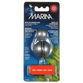 Marina Mavi Fanus Işığı