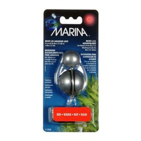 Marina Mavi Fanus Işığı