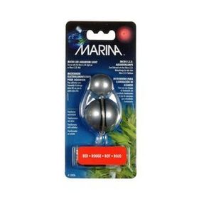 Marina Mavi Fanus Işığı