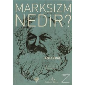 MARKSIZM NEDIR? - EMILE BURNS