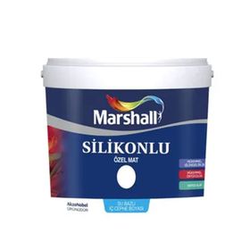 Marshall 2,5 lt Tavan Boyası