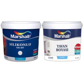 Marshall Ayçekirdeği 2.5 lt Silikonlu Özel Mat Duvar Boyası