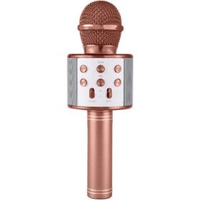 Marsilyan 4887 Karaoke Mikrofonlu Şarjlı Rose Gold Bluetooth Hoparlör
