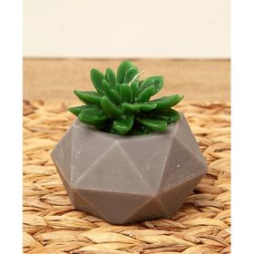 M'art Home 10 cm Sukulent Mum