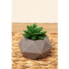 M'art Home 10 cm Sukulent Mum
