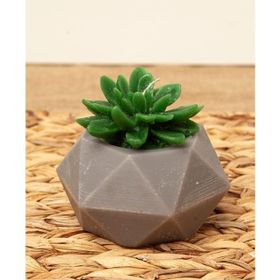 M'art Home 10 cm Sukulent Mum