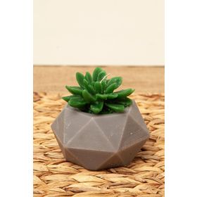 M'art Home 10 cm Sukulent Mum