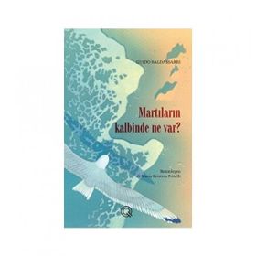 Martıların Kalbinde Ne Var? - Guido Baldassarri