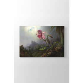Martin Johnson Heade - Sinek Kuşları Ve Orkide Tablosu