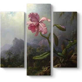 Martin Johnson Heade - Sinek Kuşları Ve Orkide Tablosu