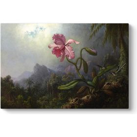 Martin Johnson Heade - Sinek Kuşları Ve Orkide Tablosu