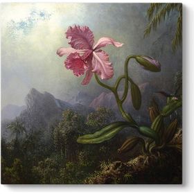 Martin Johnson Heade - Sinek Kuşları Ve Orkide Tablosu