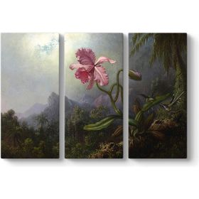 Martin Johnson Heade - Sinek Kuşları Ve Orkide Tablosu