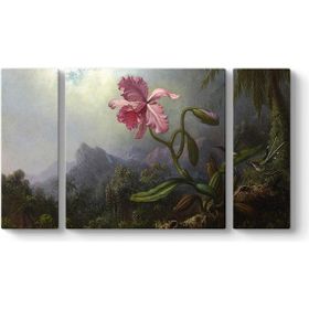 Martin Johnson Heade - Sinek Kuşları Ve Orkide Tablosu