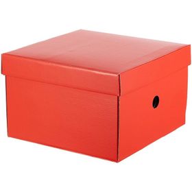 Mas 8224 Rainbow Kırmızı Karton Küçük Boy Arşiv Kutusu