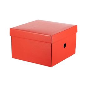 Mas 8224 Rainbow Kırmızı Karton Küçük Boy Arşiv Kutusu