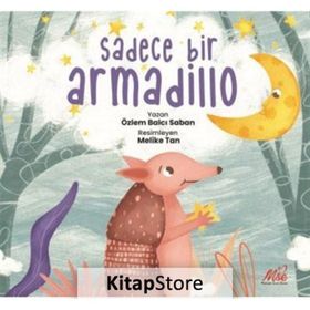 Masal Seramik Evi - Sadece Bir Armadillo