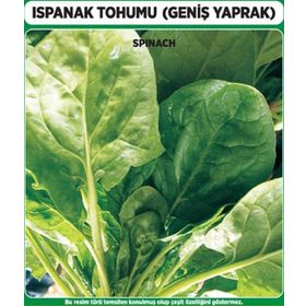 Matador 500 gr Ispanak Tohumu