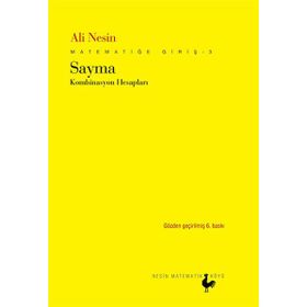 Matematiğe Giriş 3 - Sayma - Aziz Nesin