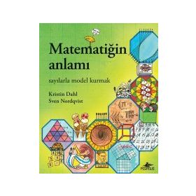 Matematiğin Anlamı - Kristin Dahl
