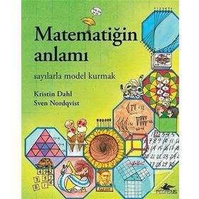 Matematiğin Anlamı - Kristin Dahl