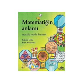 Matematiğin Anlamı - Kristin Dahl