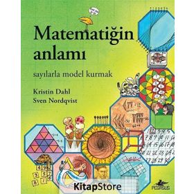 Matematiğin Anlamı - Kristin Dahl