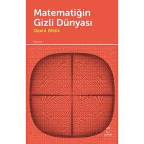 MATEMATİĞİN GIZLI DÜNYASI - DAVID WELLS