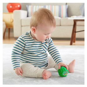 Mattel GJW22 Fisher Price Sürpriz Oyuncaklar
