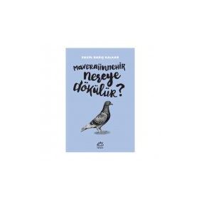Maveraünnehir Nereye Dökülür? - Engin Barış Kalkan