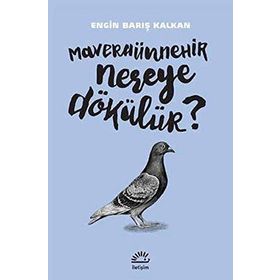 Maveraünnehir Nereye Dökülür? - Engin Barış Kalkan