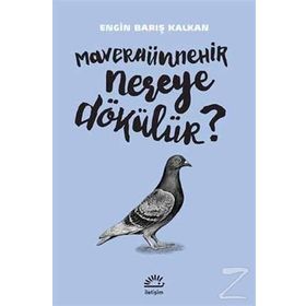 Maveraünnehir Nereye Dökülür? - Engin Barış Kalkan