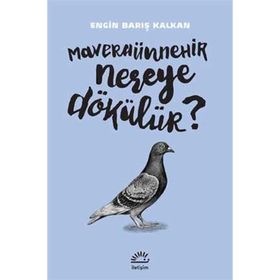 Maveraünnehir Nereye Dökülür? - Engin Barış Kalkan