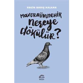 Maveraünnehir Nereye Dökülür? - Engin Barış Kalkan