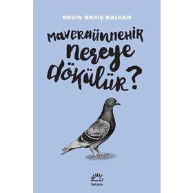 Maveraünnehir Nereye Dökülür? - Engin Barış Kalkan