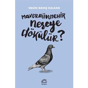 Maveraünnehir Nereye Dökülür? - Engin Barış Kalkan