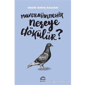 Maveraünnehir Nereye Dökülür? - Engin Barış Kalkan