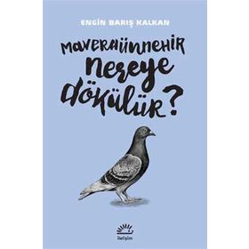 Maveraünnehir Nereye Dökülür? - Engin Barış Kalkan