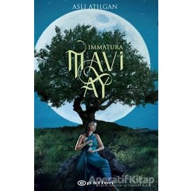 Mavi Ay-Aslı Atılgan