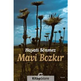 Mavi Bozkır - Hayati Sönmez