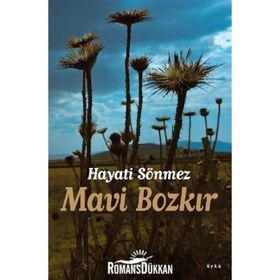 Mavi Bozkır - Hayati Sönmez