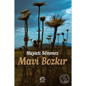 Mavi Bozkır - Hayati Sönmez