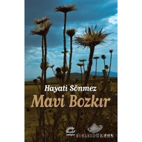 Mavi Bozkır - Hayati Sönmez