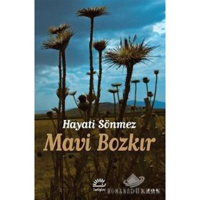Mavi Bozkır - Hayati Sönmez
