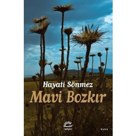 Mavi Bozkır - Hüseyin Sönmez
