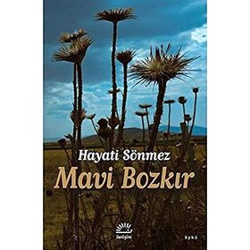 Mavi Bozkır - Hüseyin Sönmez
